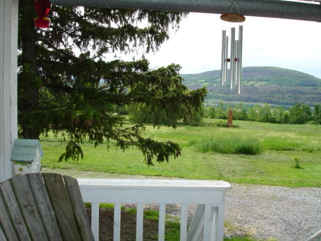 249 Sagendorf Corners Road Howes Cave, NY 12092 - Photo 4 of 12 Photo 4