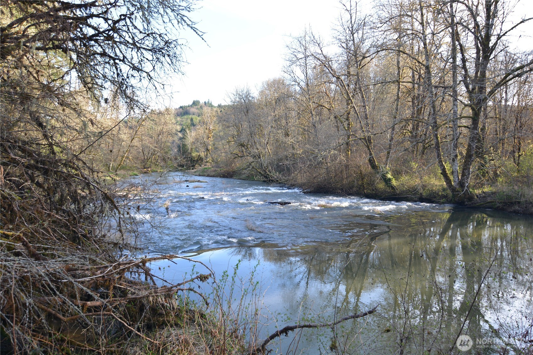 1397 State Route 506 Vader, WA 98593 - Photo 32 of 37