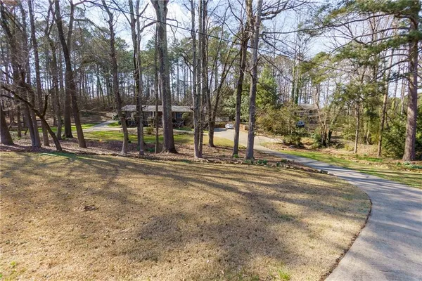 a view of a park with trees