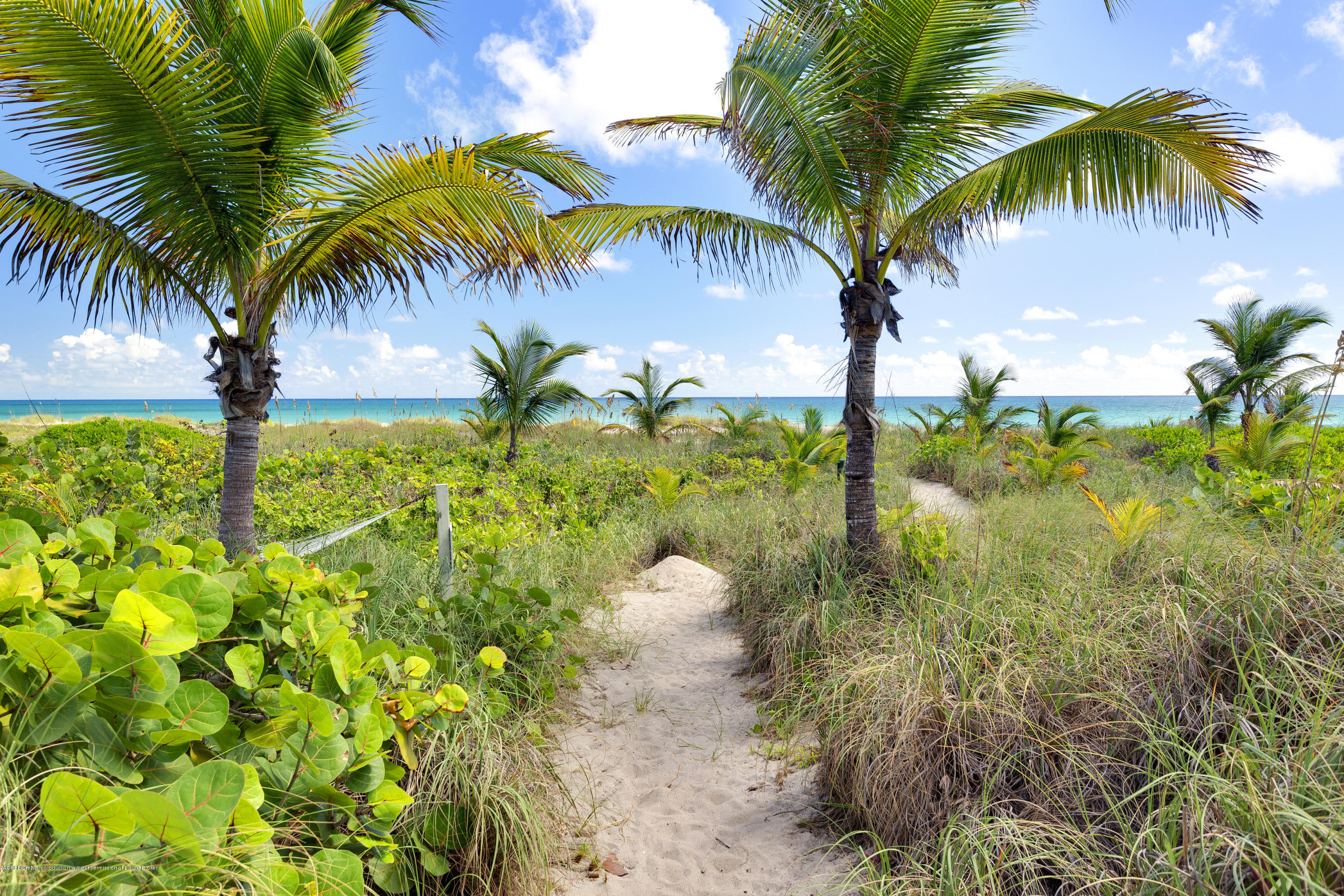 140 Seagate Road Palm Beach, FL 33480 - Photo 23 of 24 CABANA BEACH ACCESS