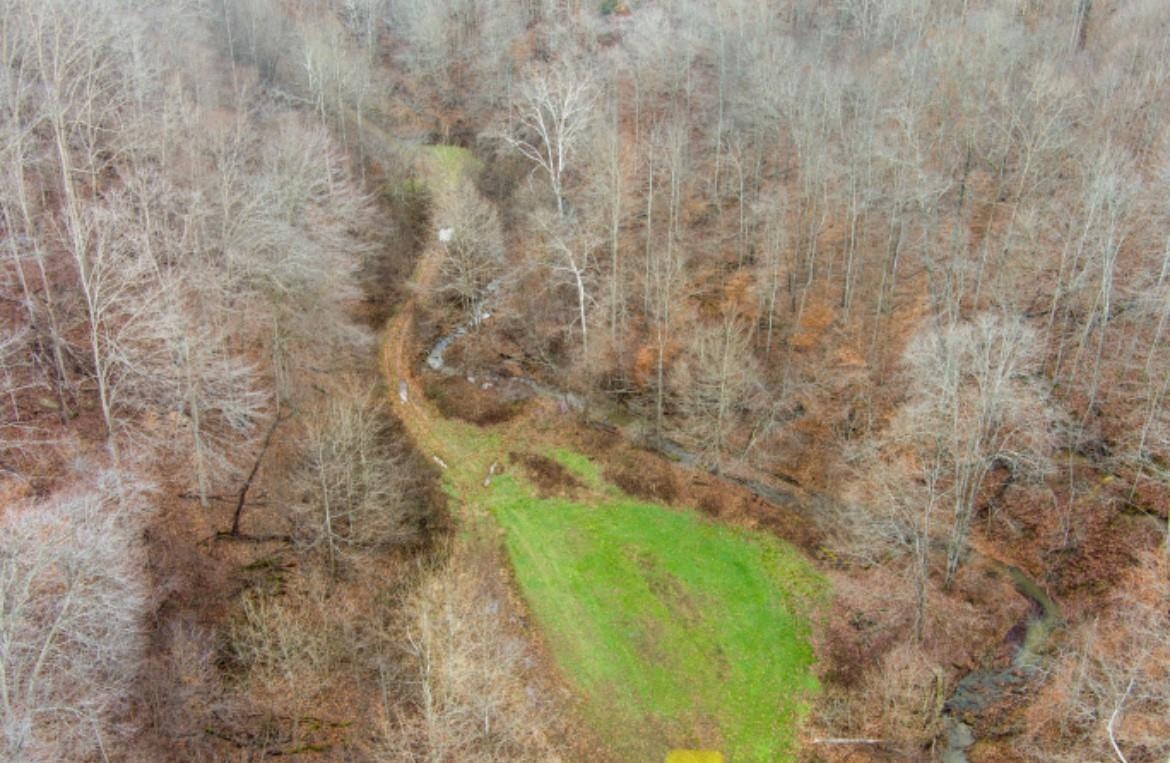0 Sugar Tree Branch Road Wallingford, KY 41093 - Photo 8 of 14 Gallery Image 8