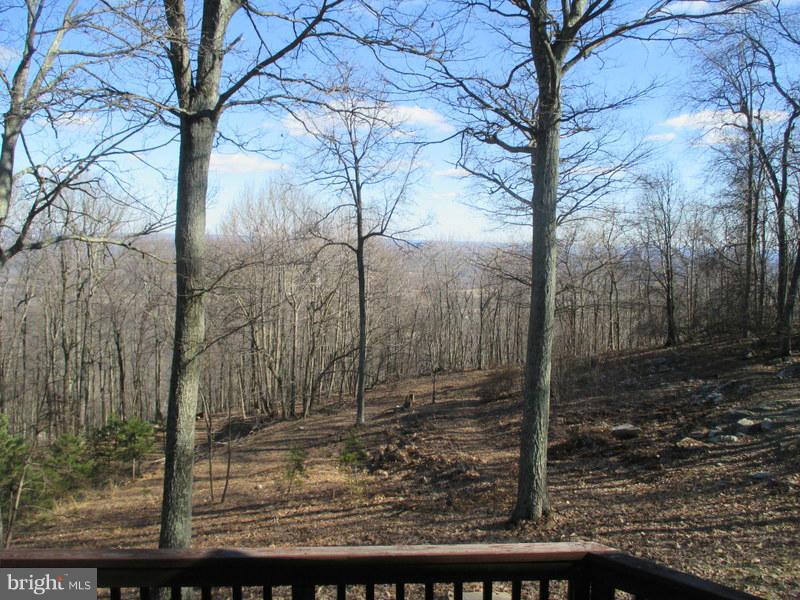 2101 Ridge Road Haymarket, VA 20169 - Photo 13 of 13 Backyard