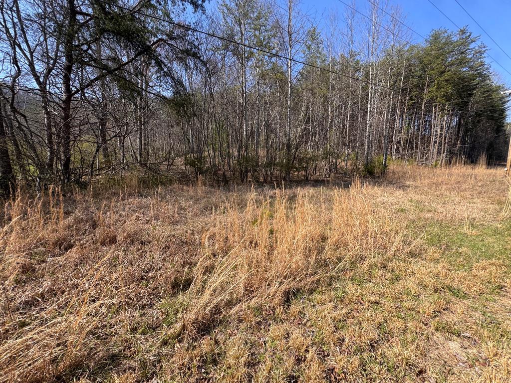 17-ac Weaver Creek Road Blue Ridge, GA 30513 - Photo 11 of 12 Gallery Image 11