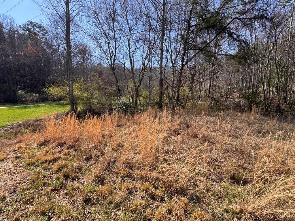 17-ac Weaver Creek Road Blue Ridge, GA 30513 - Photo 12 of 12 Gallery Image 12