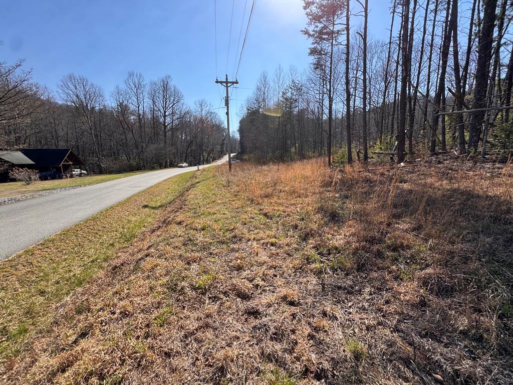 17-ac Weaver Creek Road Blue Ridge, GA 30513 - Photo 2 of 12 Gallery Image 2