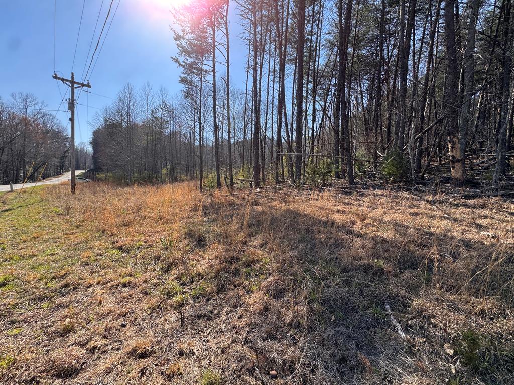 17-ac Weaver Creek Road Blue Ridge, GA 30513 - Photo 3 of 12 Gallery Image 3