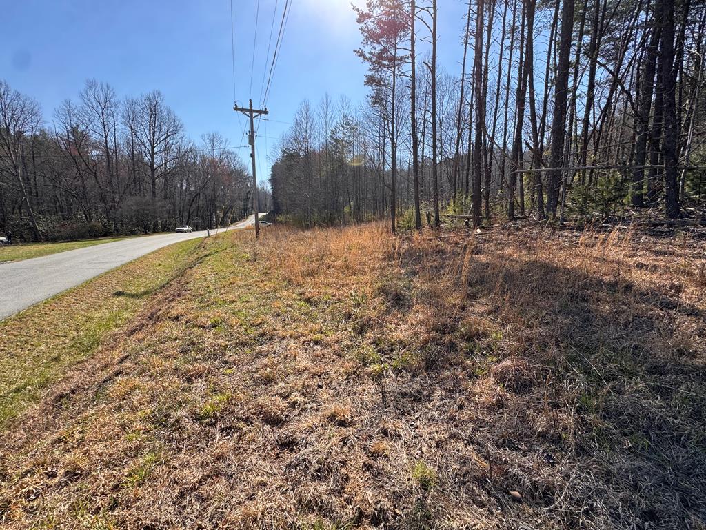 17-ac Weaver Creek Road Blue Ridge, GA 30513 - Photo 4 of 12 Gallery Image 4