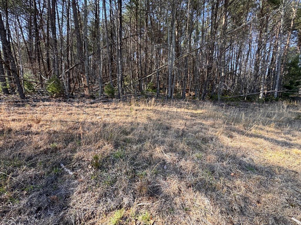 17-ac Weaver Creek Road Blue Ridge, GA 30513 - Photo 5 of 12 Gallery Image 5