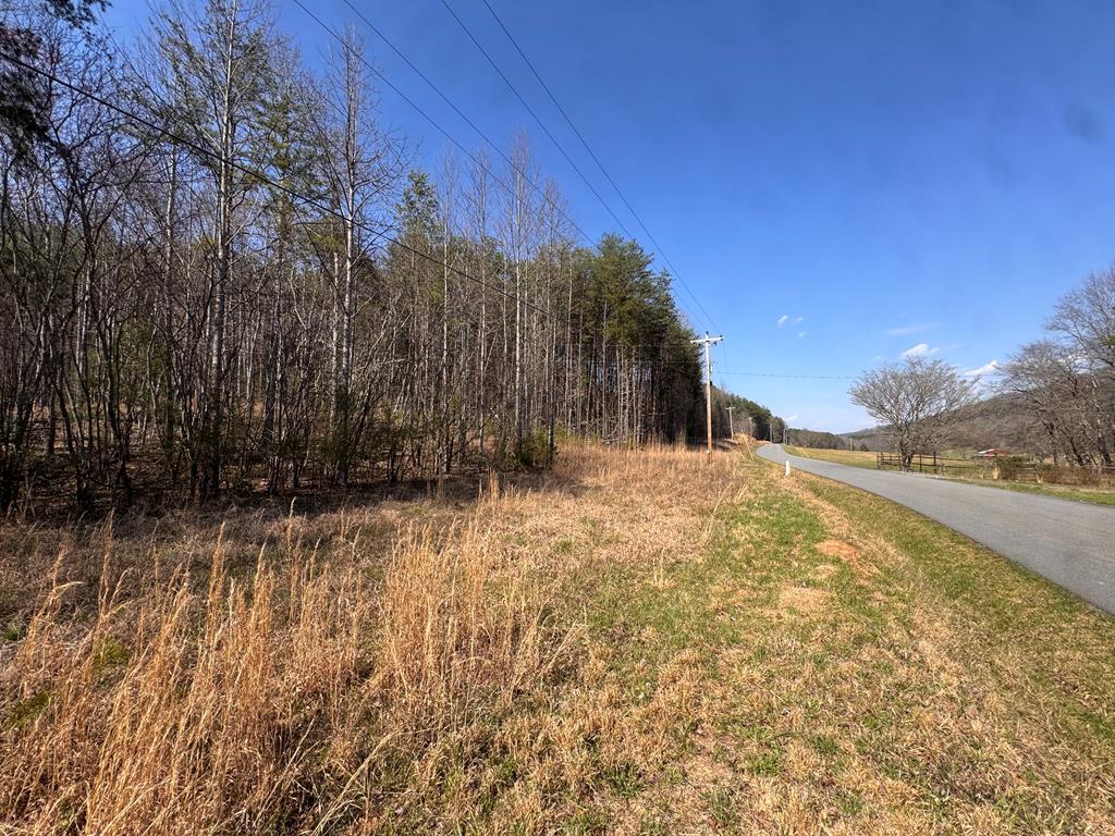 17-ac Weaver Creek Road Blue Ridge, GA 30513 - Photo 10 of 12 Gallery Image 10