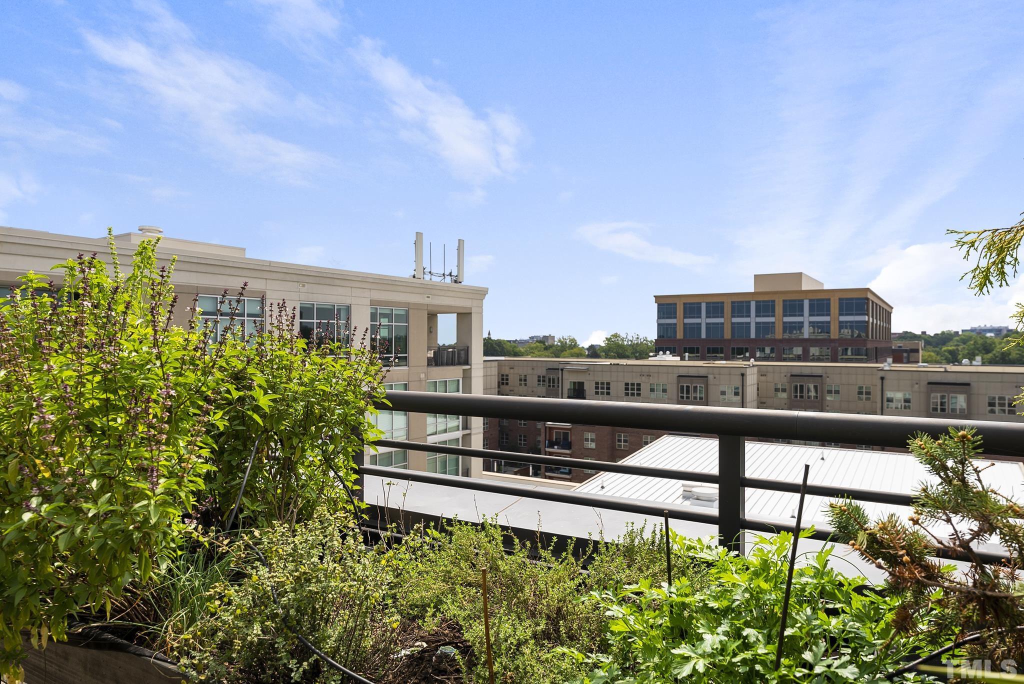 140 West Franklin Street, Unit 415 Chapel Hill, NC 27516 - Photo 25 of 29 a balcony with a city view