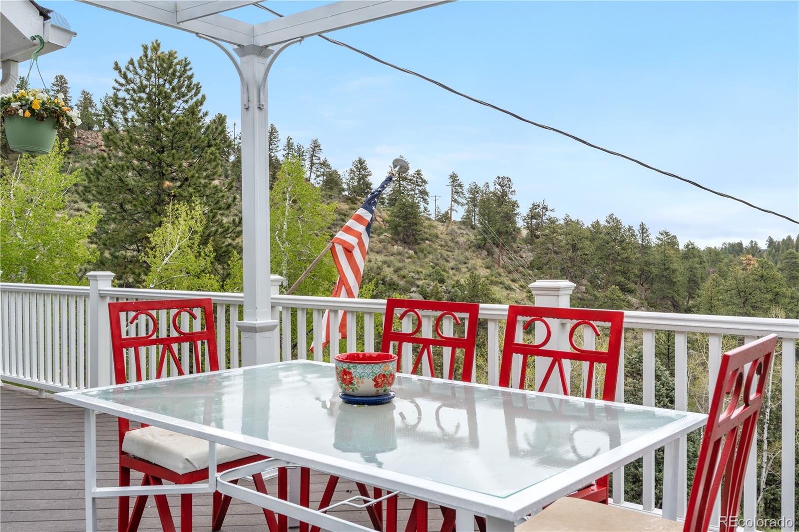 137 Bob Cat Trail Bailey, CO 80421 - Photo 31 of 46