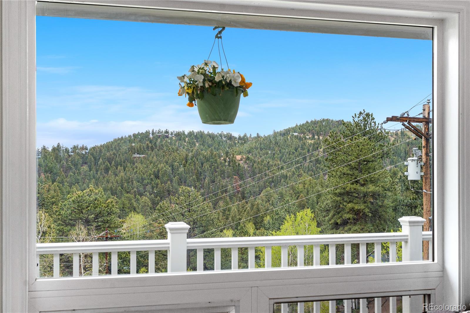 137 Bob Cat Trail Bailey, CO 80421 - Photo 7 of 46