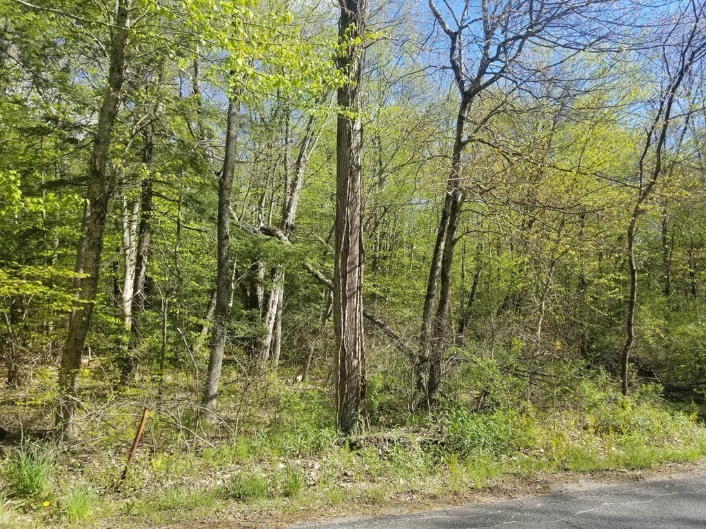 0 South Quarter Road Russell, MA 01071 - Photo 3 of 6 Gallery Image 3