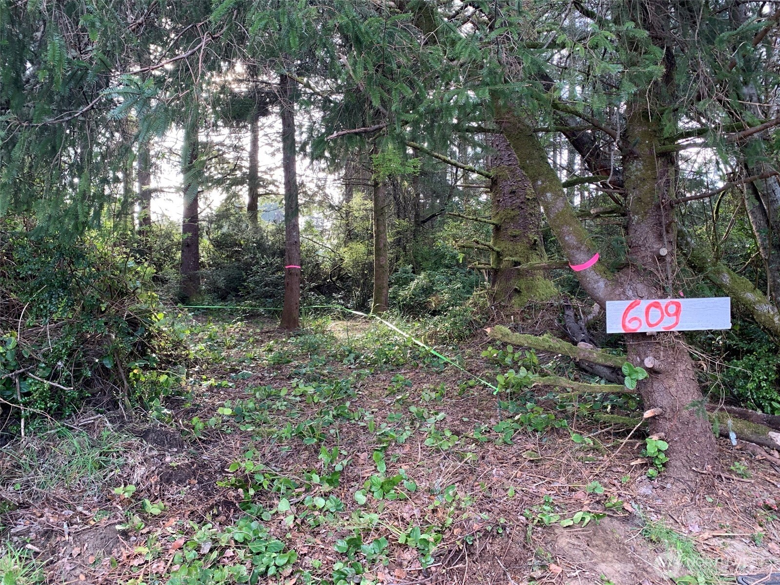 a red and white house with lots of trees in the background