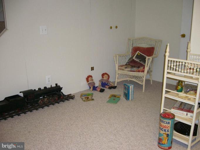 10820 Gainsborough Road Potomac, MD 20854 - Photo 5 of 15 Recreation Room #2