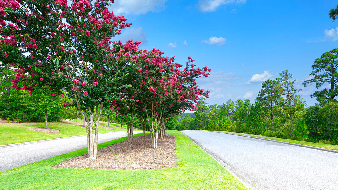 688 Lytham Drive Aiken, SC 29801 - Photo 15 of 54 Trolley Run Station Entrance Blvd