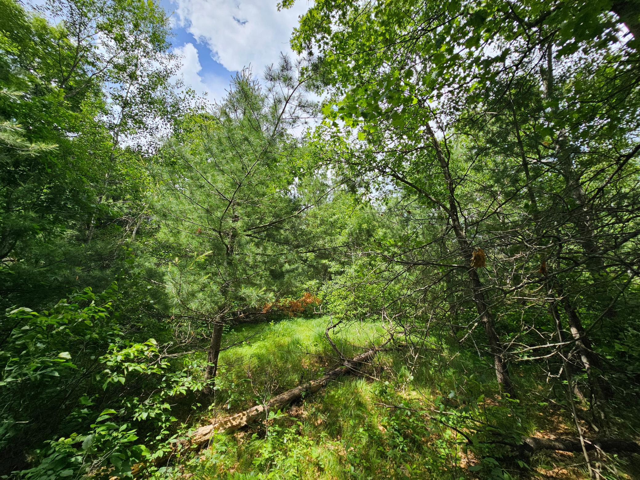 Lot 1 Gaslyn Road Webster, WI 54893 - Photo 4 of 12