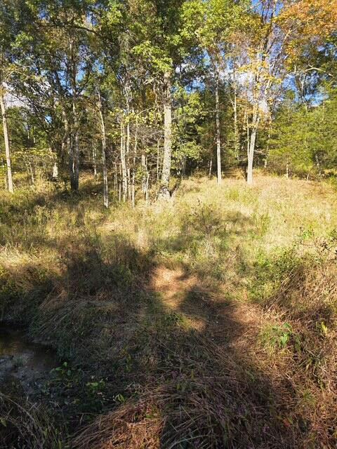 408 Mattox Road Falmouth, KY 41040 - Photo 27 of 28
