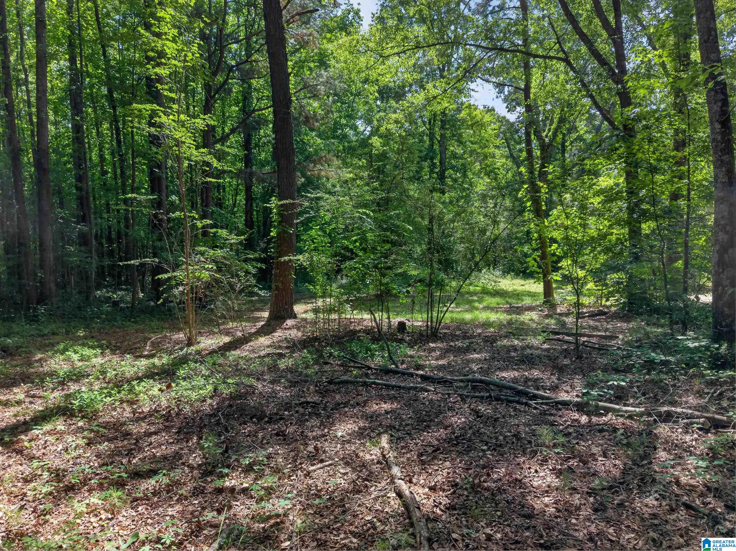 0 Pruitt Road Piedmont, AL 36272 - Photo 12 of 13