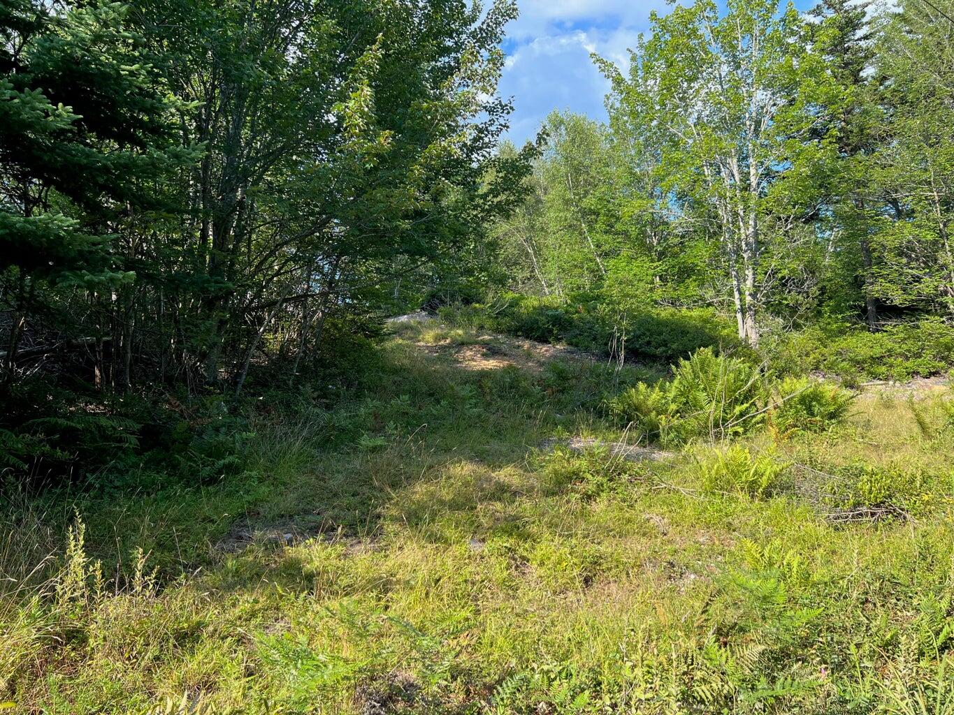 Lot #6 Zion Farm Road Vinalhaven, ME 04863 - Photo 5 of 5 20230617135010245486000000-o