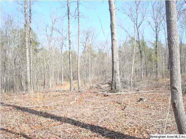 1180 Thompson Road, Unit 39 ACRES Ohatchee, AL 36271 - Photo 2 of 16