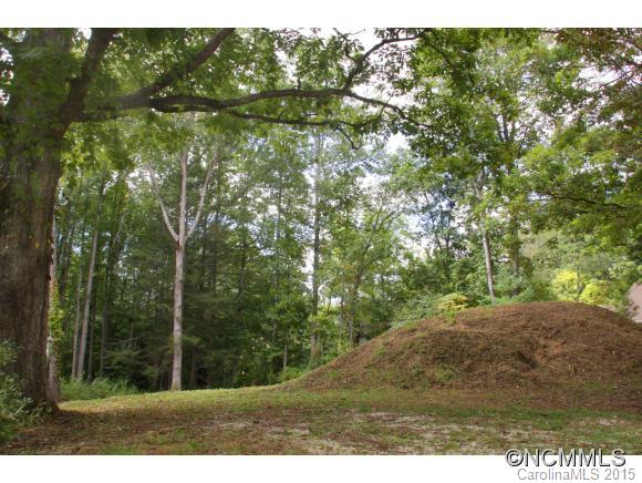 184 Turnpike Road Brevard, NC 28712 - Photo 5 of 8 Gallery Image 5