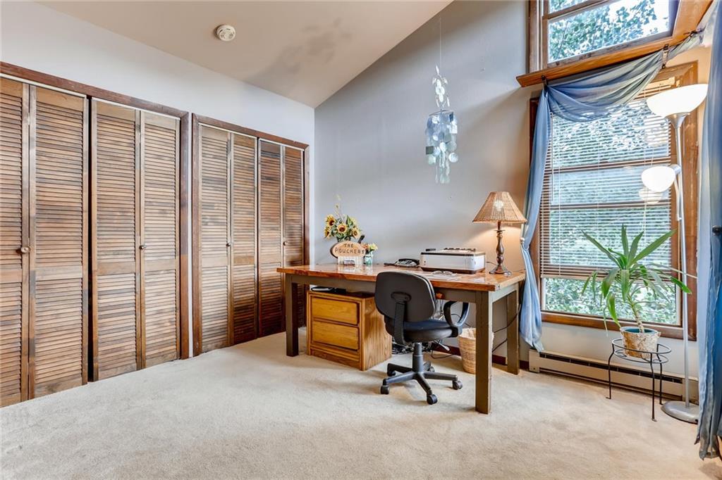 962 Peterson Road Alma, CO 80420 - Photo 12 of 28 Gallery Image 12