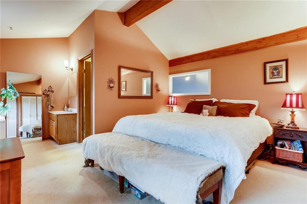 962 Peterson Road Alma, CO 80420 - Photo 15 of 28 Gallery Image 15