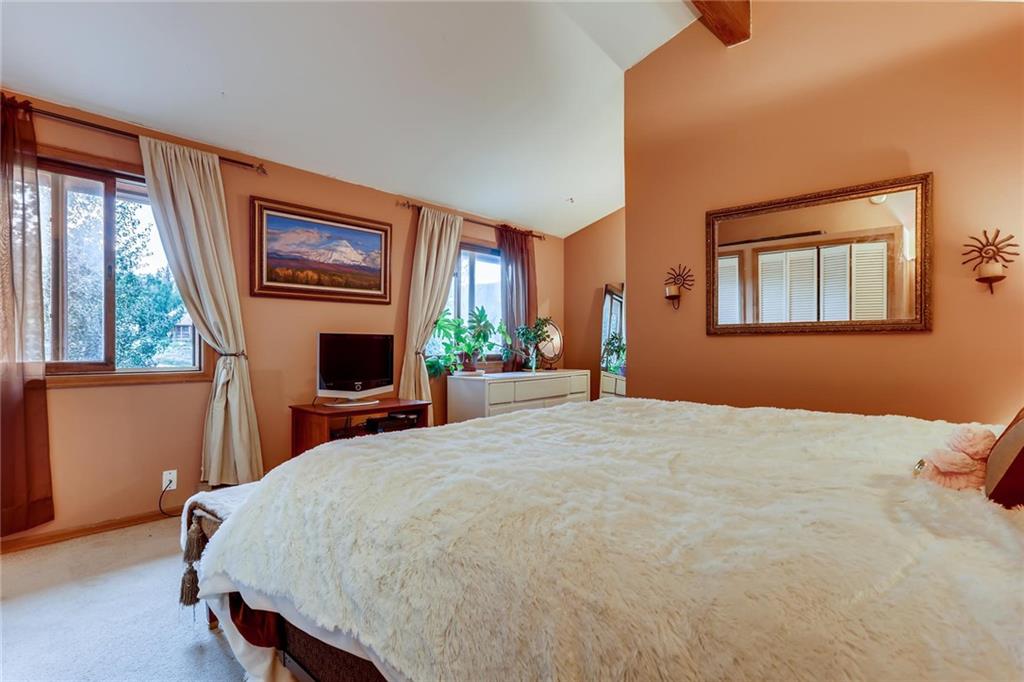 962 Peterson Road Alma, CO 80420 - Photo 16 of 28 Gallery Image 16