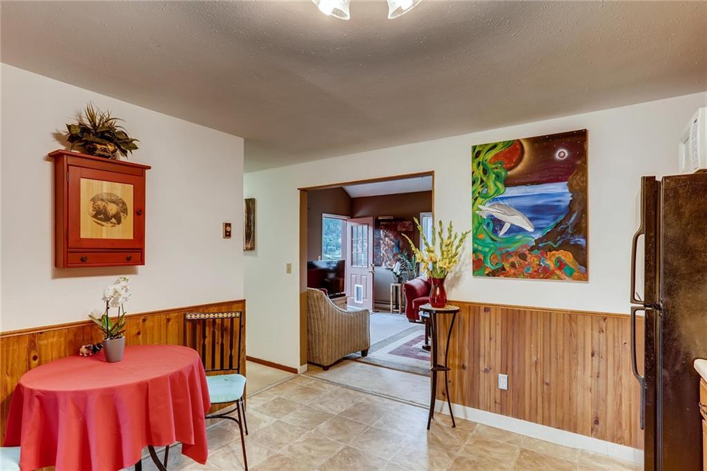 962 Peterson Road Alma, CO 80420 - Photo 9 of 28 Gallery Image 9