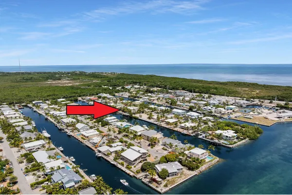 a view of a lake with a palm tree next to a yard