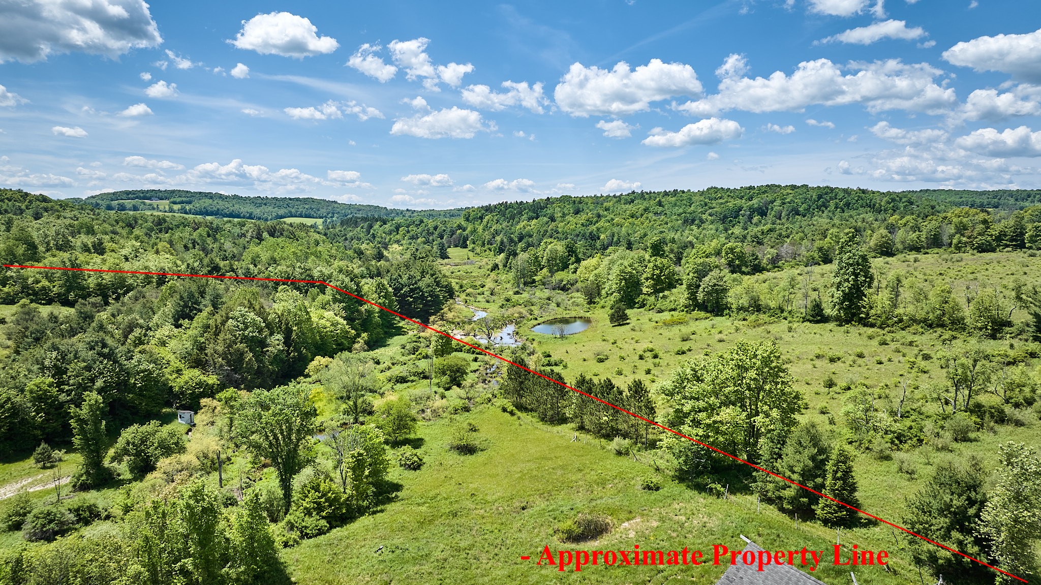 1914 Settle Road Newark Valley, NY 13811 - Photo 10 of 50