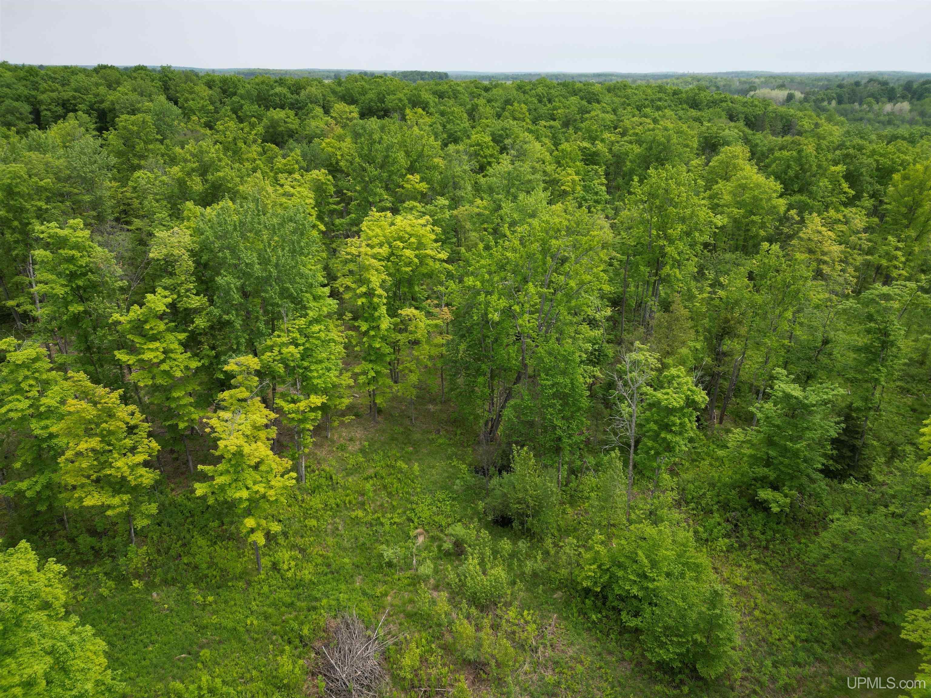 426 Rd Arnold Mi 49819 Road Felch, MI 49831 - Photo 32 of 45