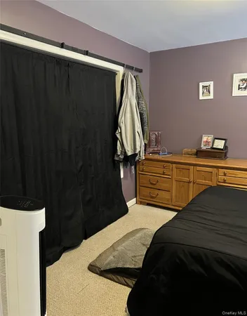 a bedroom with a bed and a closet