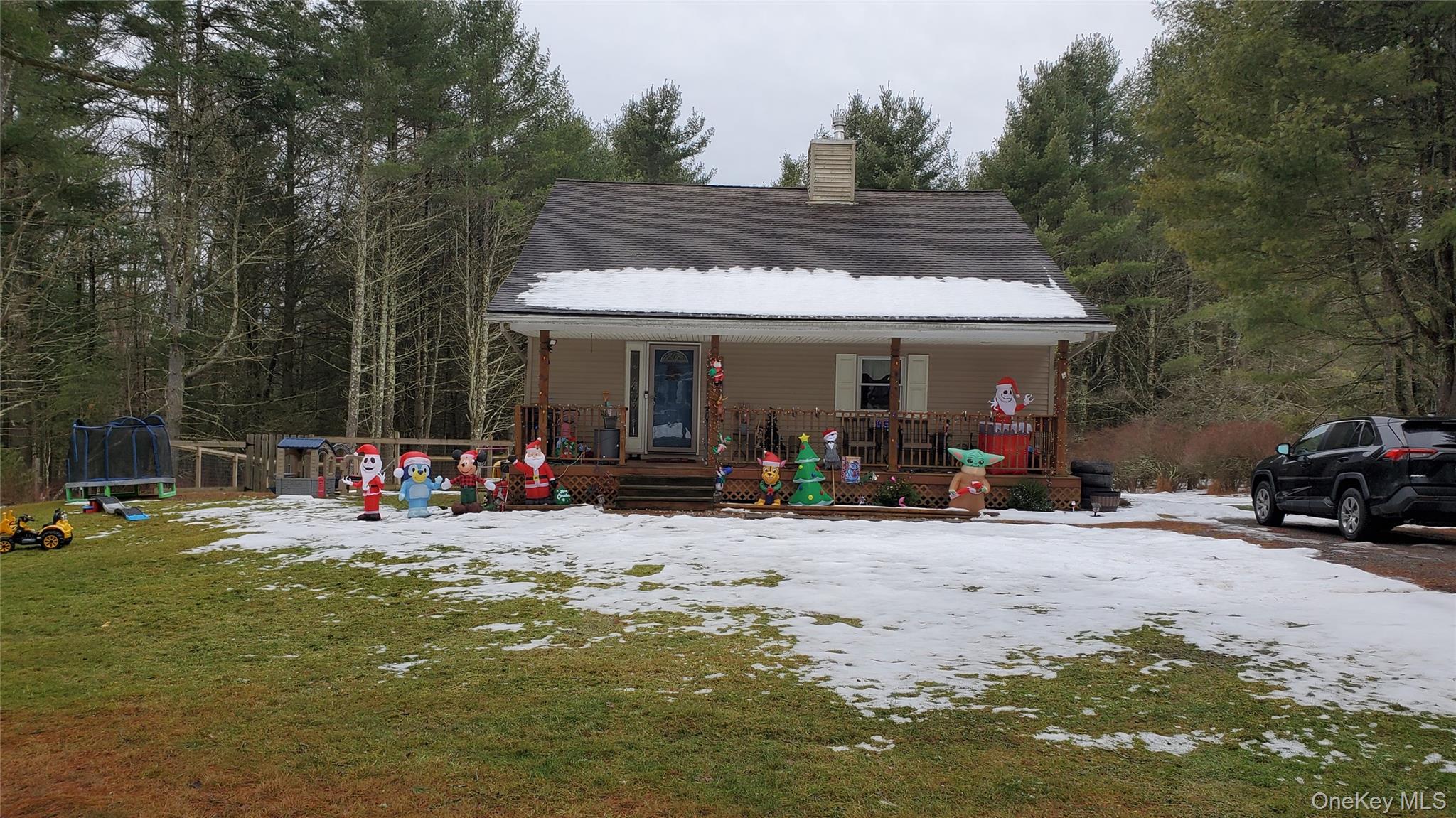 807 Beaver Brook Road Narrowsburg, NY 12764 - Photo 22 of 25 View of front of home featuring a trampoline, a porch, a chimney, and a yard