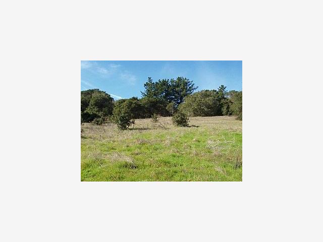6560 Tustin Road Salinas, CA 93907 - Photo 1 of 2 Gallery Image 1