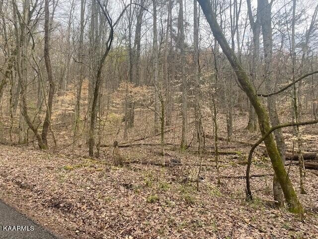 0 Dug Ridge Road Kingston, TN 37763 - Photo 1 of 2 Gallery Image 1