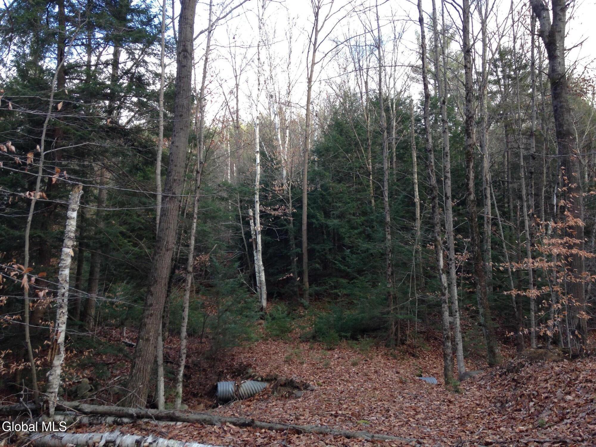 20 Hall Mountain Road Athol, NY 12810 - Photo 2 of 3 IMG_1123