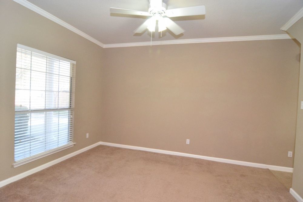 9405 Lightwood Loop Austin, TX 78748 - Photo 11 of 24 Neutral-toned room featuring a large window with horizontal blinds, a ceiling fan with integrated lighting, crown molding, and plush carpet flooring