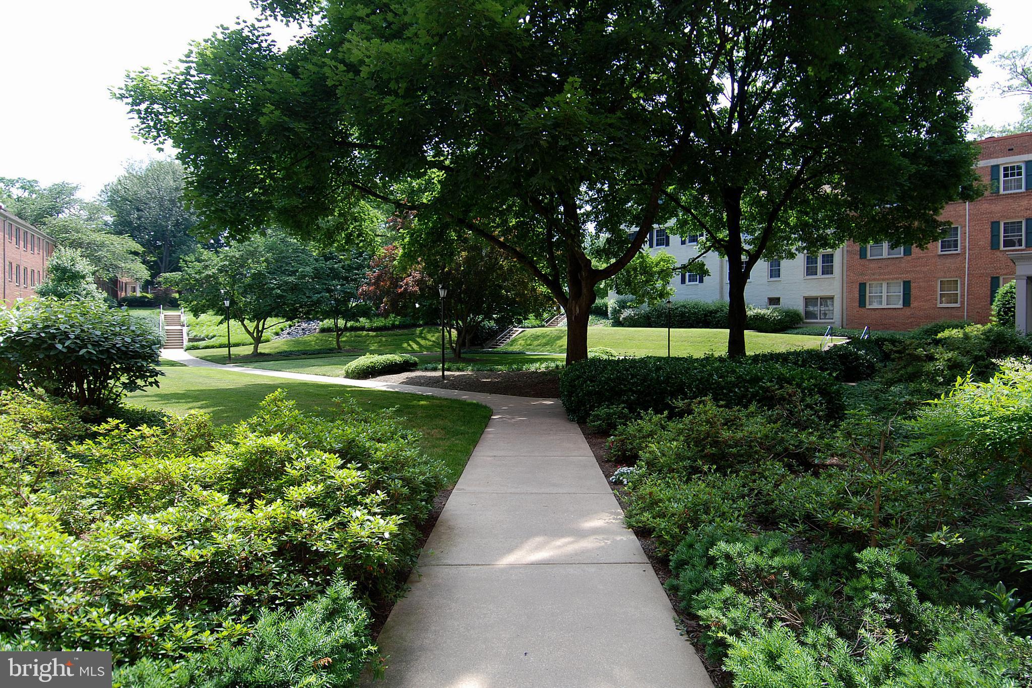 2400 Colston Drive, Unit C202 Silver Spring, MD 20910 - Photo 19 of 24