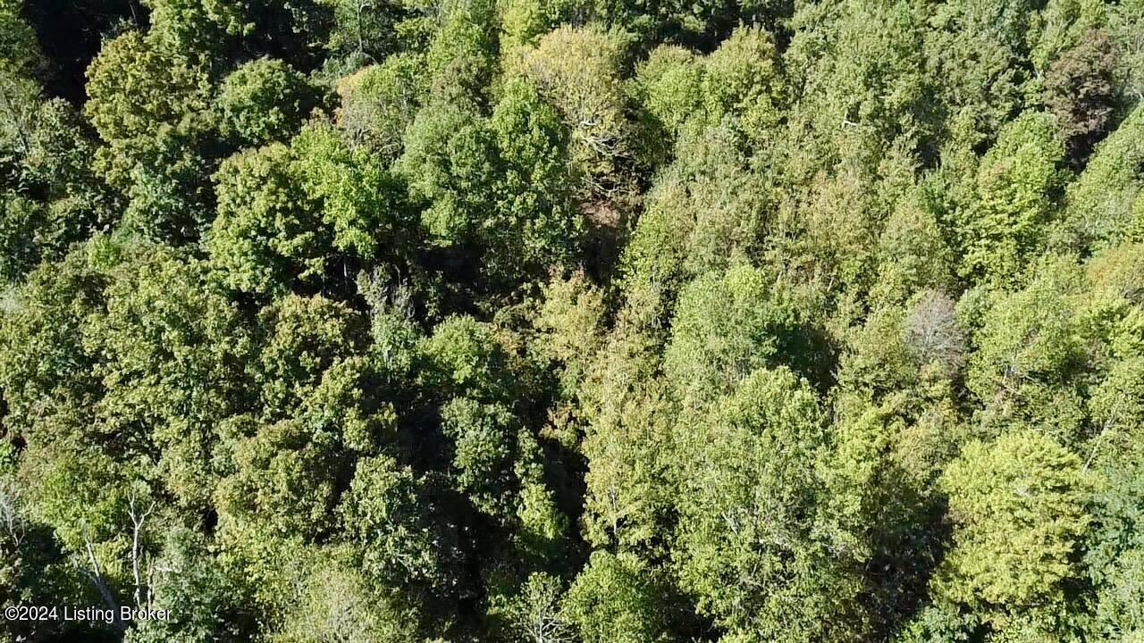2346 Sulphur Lick Road New Hope, KY 40052 - Photo 27 of 35 2024-10-03-12-28-55-393