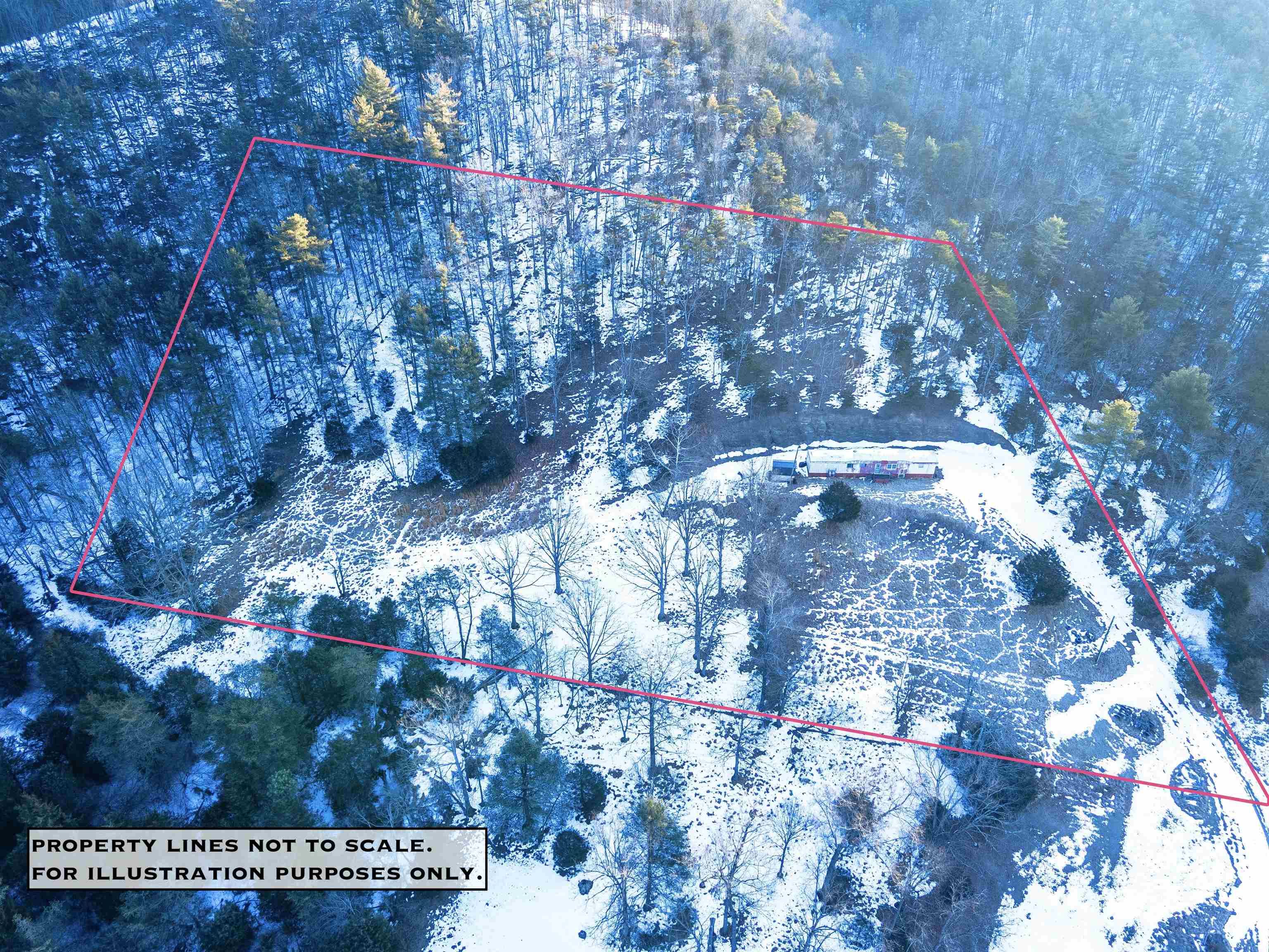 17654 Rusty Ridge Road Broadway, VA 22815 - Photo 2 of 9 a view of a tree