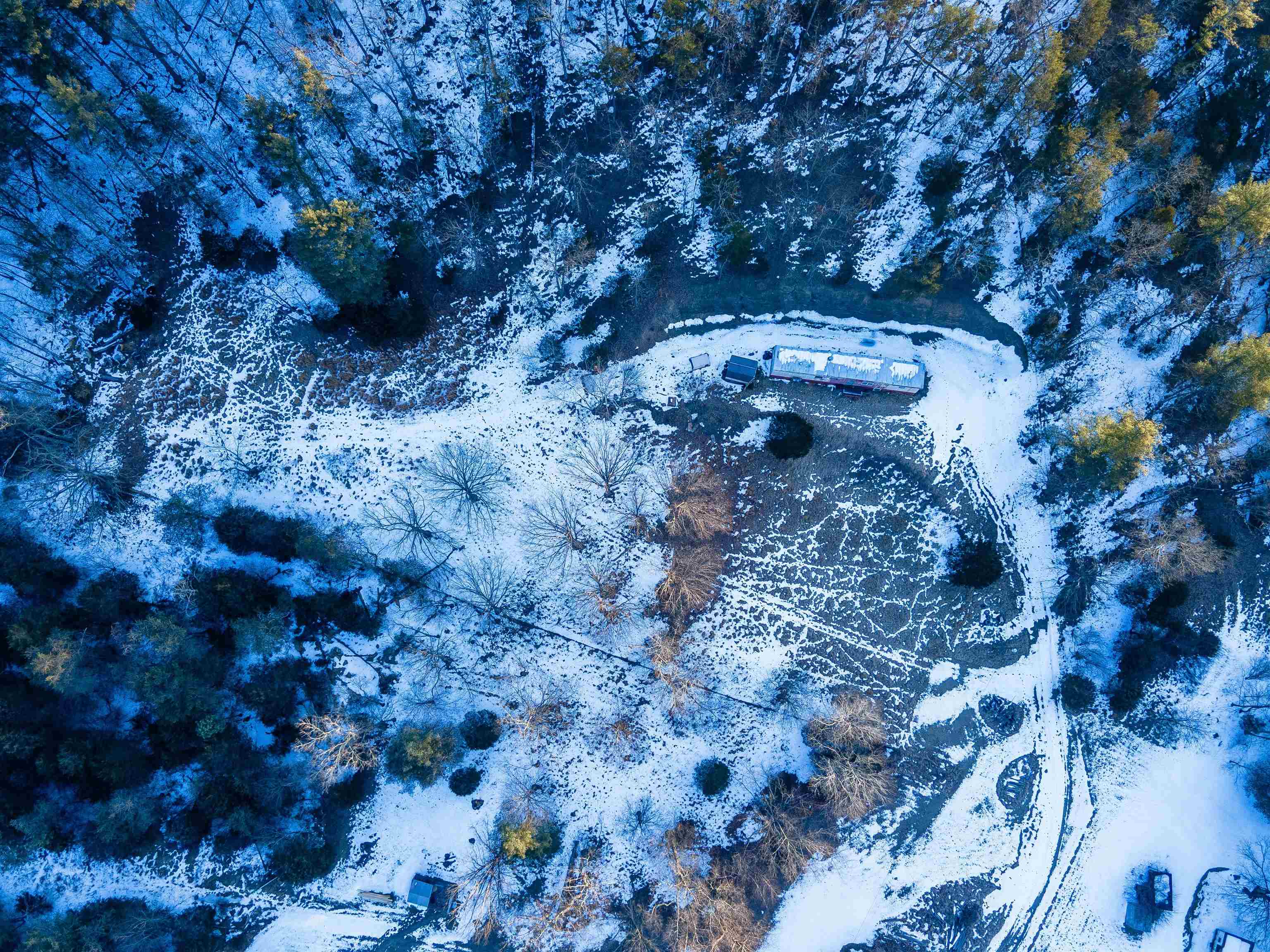 17654 Rusty Ridge Road Broadway, VA 22815 - Photo 4 of 9 a view of a dry yard