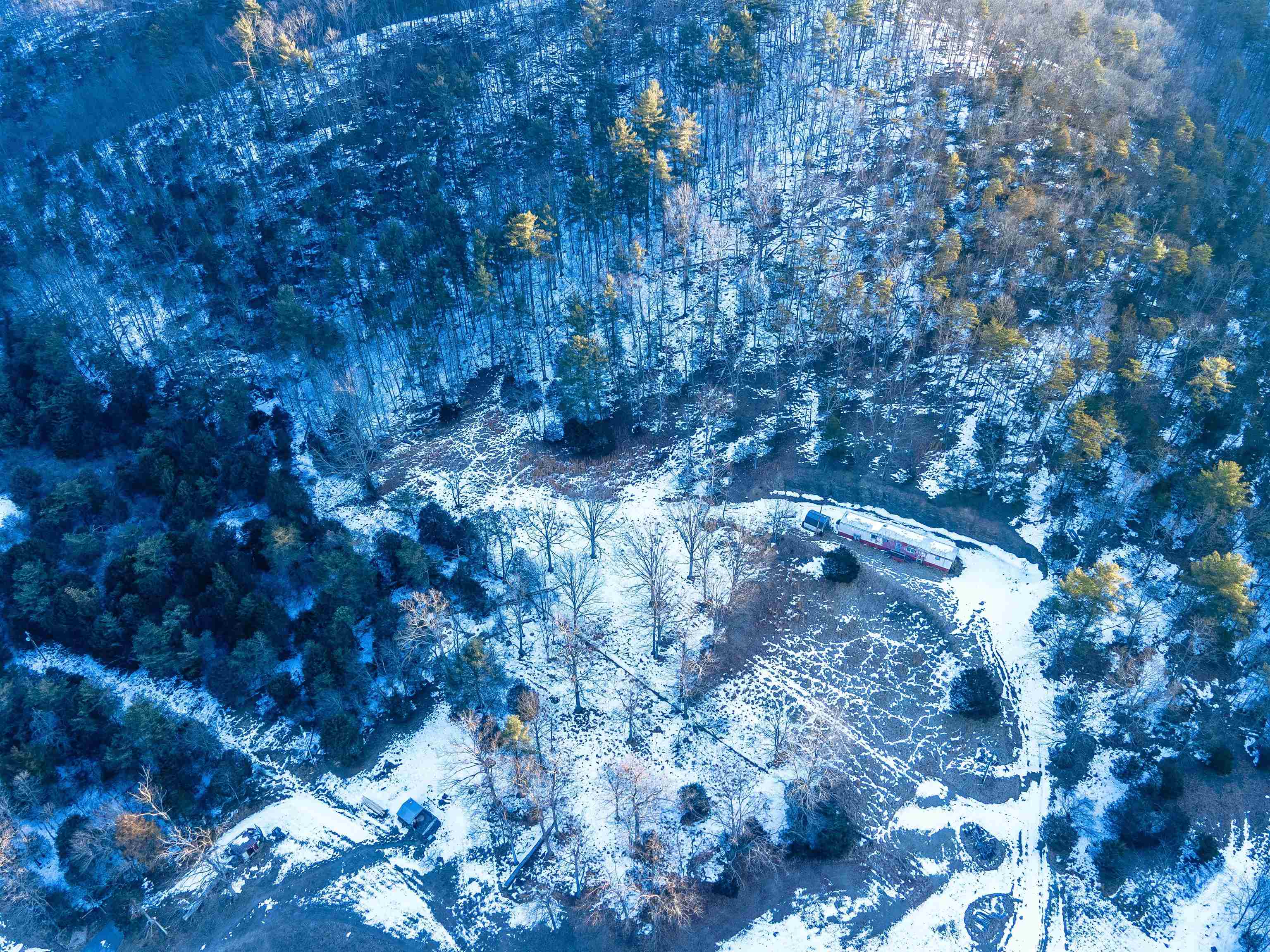 17654 Rusty Ridge Road Broadway, VA 22815 - Photo 7 of 9 a view of a tree