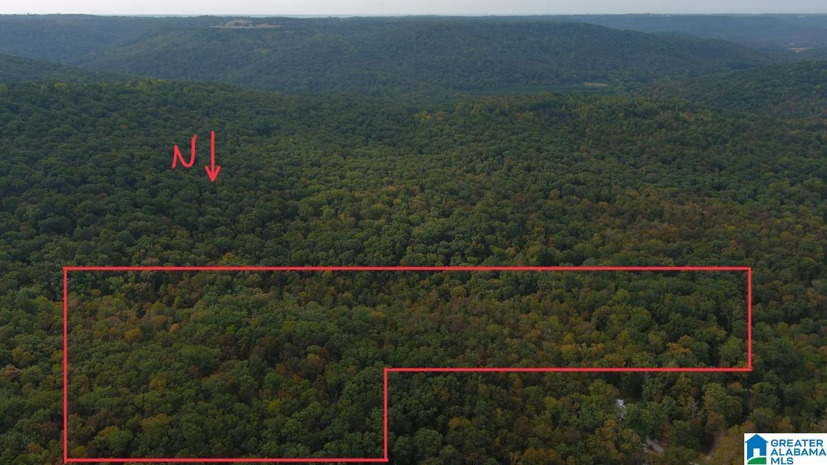 0 Cathedral Caverns Road Woodville, AL 35776 - Photo 12 of 14