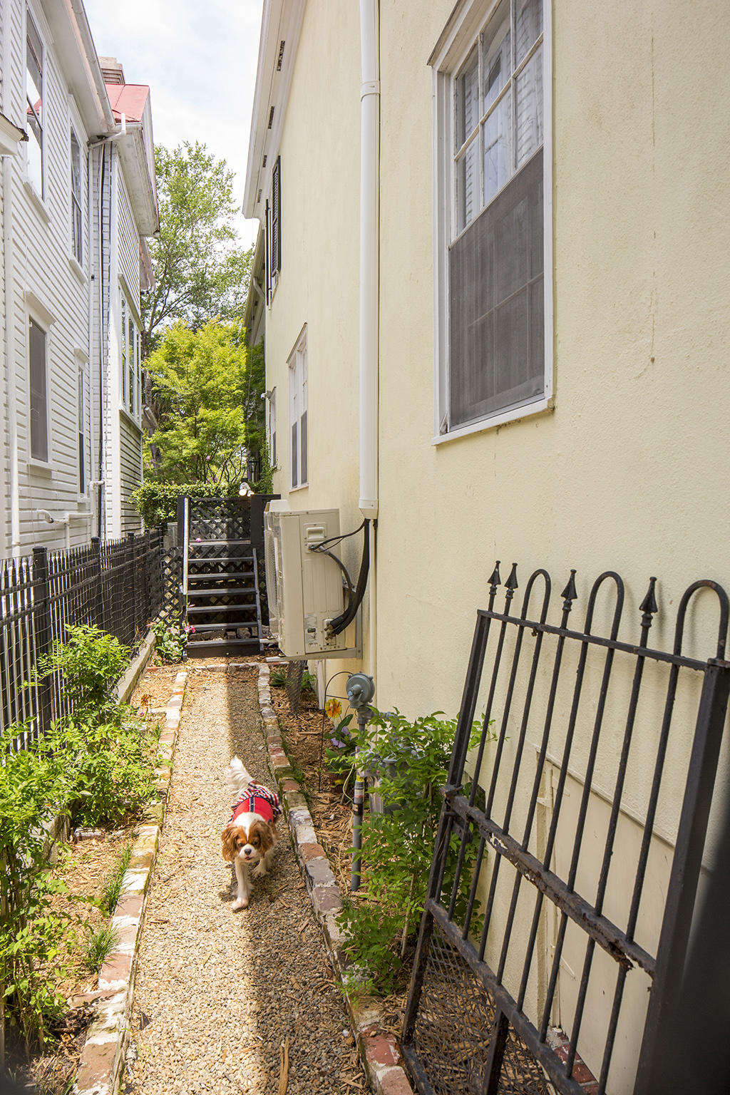 17 Rutledge Avenue Charleston, SC 29401 - Photo 40 of 45 WebSize_T7A9999