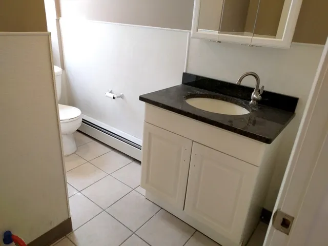 a bathroom with a sink and a toilet