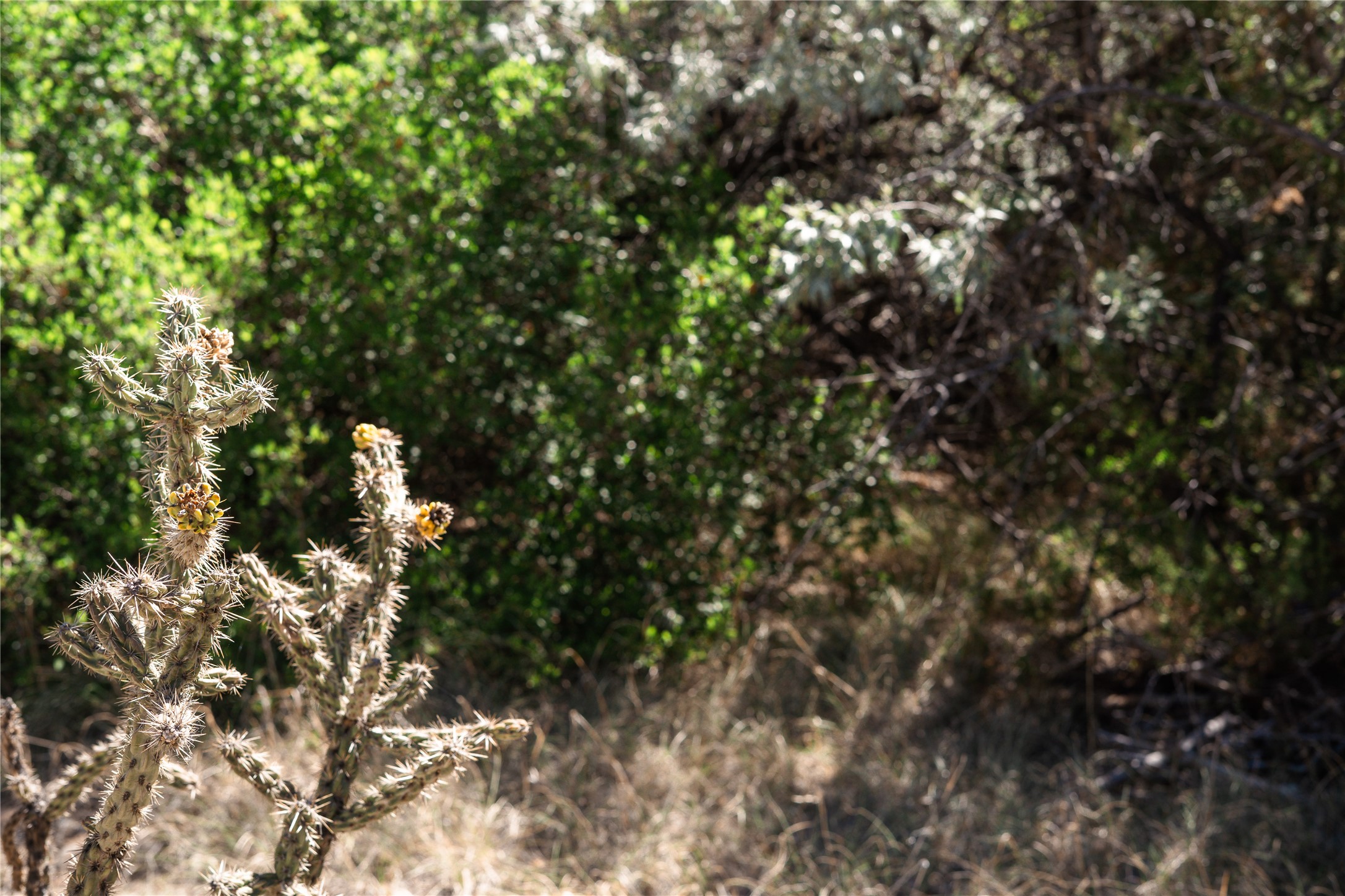 7 C Rancho De Shama, Unit B Cerrillos, NM 87010 - Photo 11 of 26