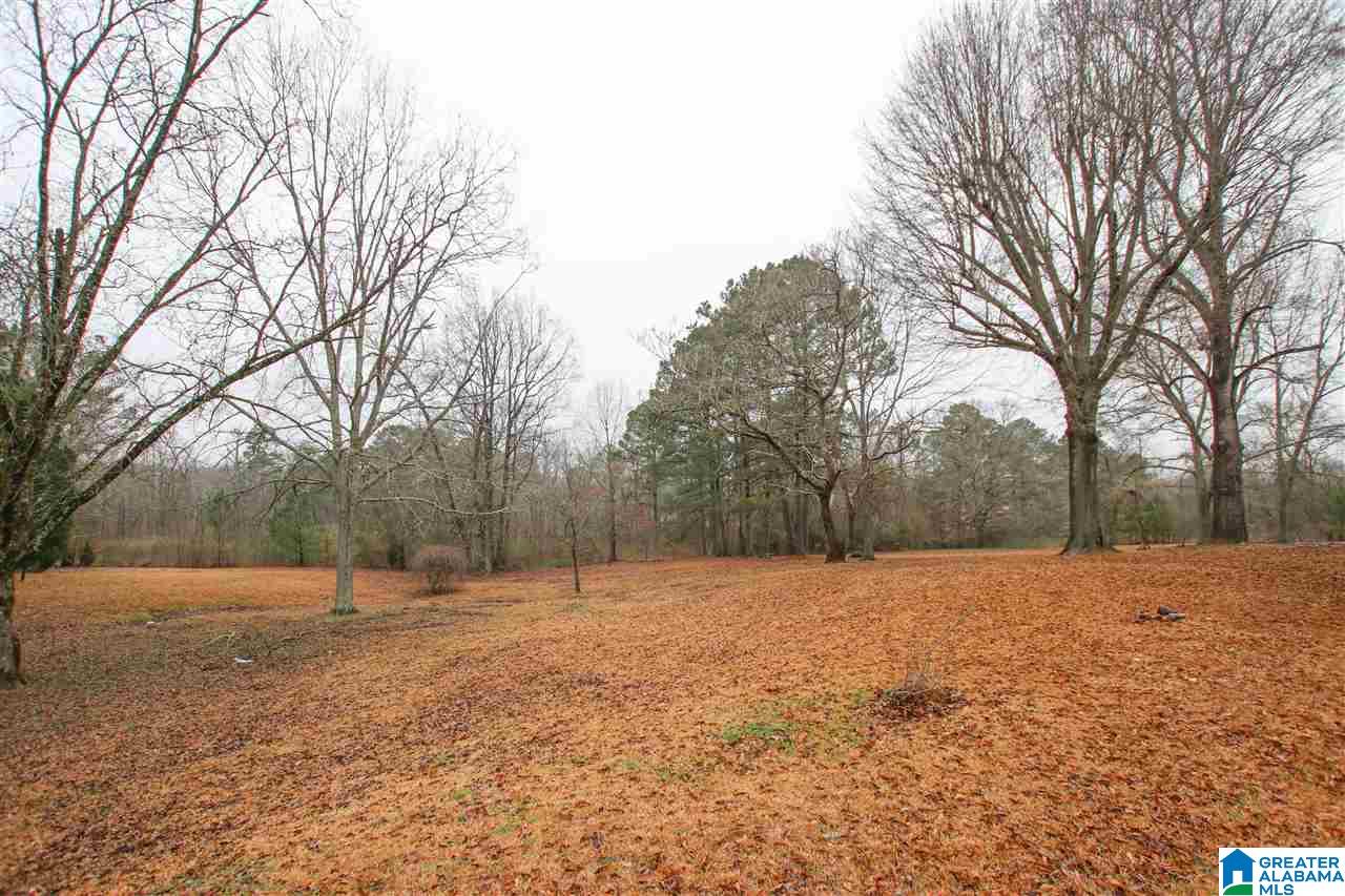 1014 Bryan Road Sumiton, AL 35148 - Photo 46 of 47 Gallery Image 46