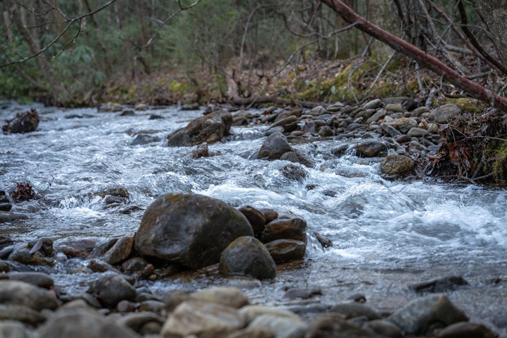 490 Red Wolf Run Franklin, NC 28734 - Photo 12 of 83 a view of fire pit